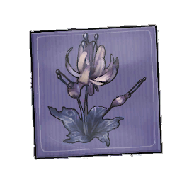 Lost Duskbloom Seed Packet