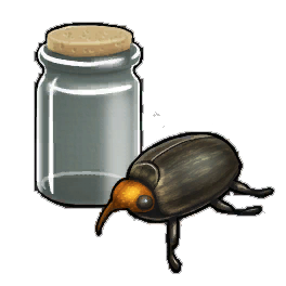 Carriage Beetle