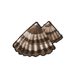 Crusty Limpet