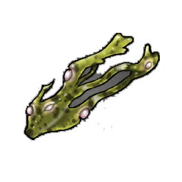 Muscle Wrack