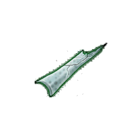 Dappled Bone Spike (Brewed)