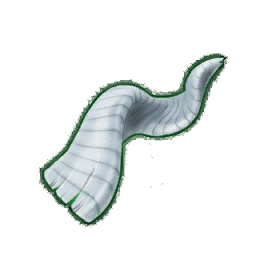 Gray Goat Horn (Brewed)