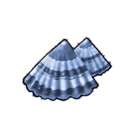 Blueridge Limpet