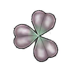 Pearl Clover
