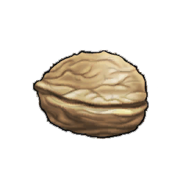 Walnut Enchantment Potion Reagent