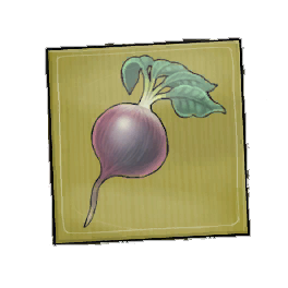Zing Beetroot Seed Packet