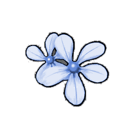 Blue Periwinkle
