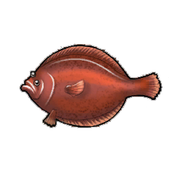 Arrowtooth Flounder