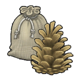 Magnificent Pinecone