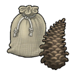 Summer Pinecone
