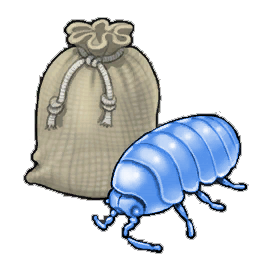 Lousy Louse
