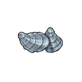 Kumo Oyster