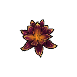 Dragon's Breath Water Lily