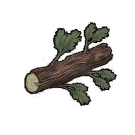 Basic Juniper Log