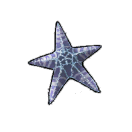 Wrinkled Starfish