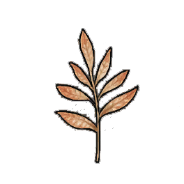 Skytear Sage