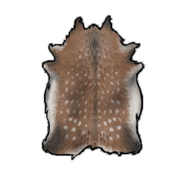 Excellent Deer Hide