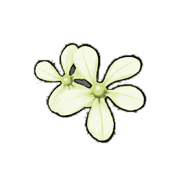 Twinkle Periwinkle