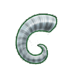 Pristine Rams Horn (Brewed)