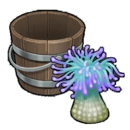 Snakelocks Anemone