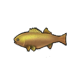 Dropthe Bass