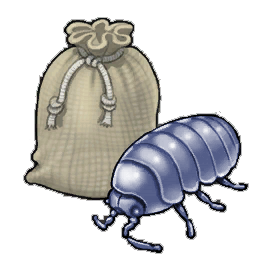 Pebble Louse