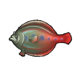 Flowery Flounder