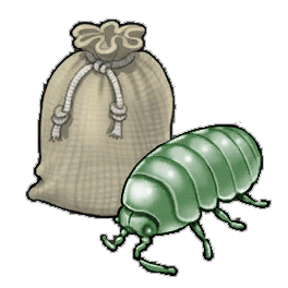 Skittering Louse