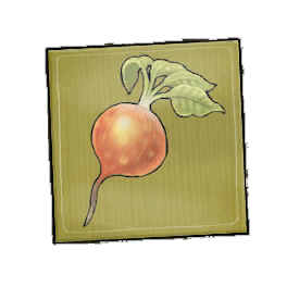 Kalb Beetroot Seed Packet
