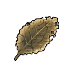 Crackle Dock Leaf