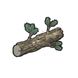 Moderate Pine Log