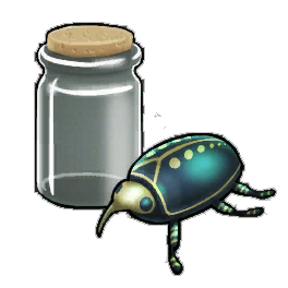 Turquoise Beetle