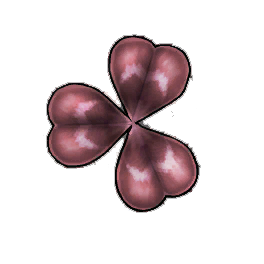 Red Clover