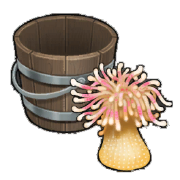 Dahlia Anemone
