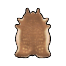 Perfect Deer Leather