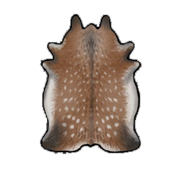 Superior Deer Hide