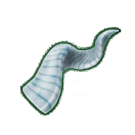 Long Goat Horn (Brewed)