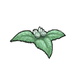 White Nettle