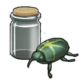 Star Beetle