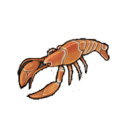 Orange Lobster