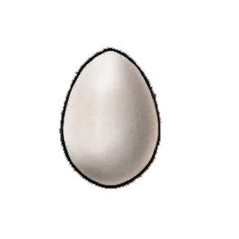 Tasty Eggs