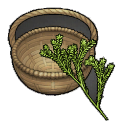 Stalky Rosemary