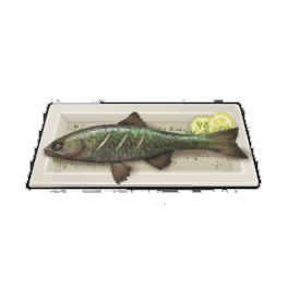 Scout Poached Trout