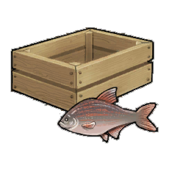Dream Bream