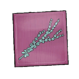 Elfin Thyme Seed Packet