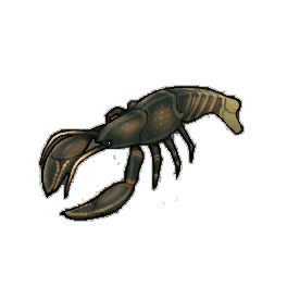 Flobber Lobster