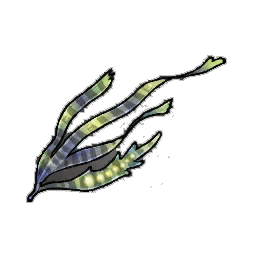 Channeled Wrack