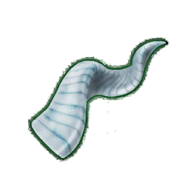 Hooked Goat Horn (Brewed)
