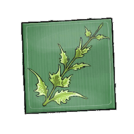 Pungent Shadowmint Seed Packet