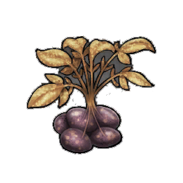 Bitterbide Potato